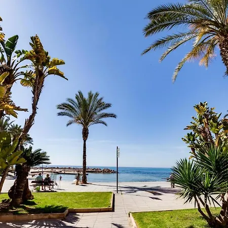 Olapalma * Torrevieja